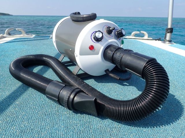 ワンワンシュノーケリング